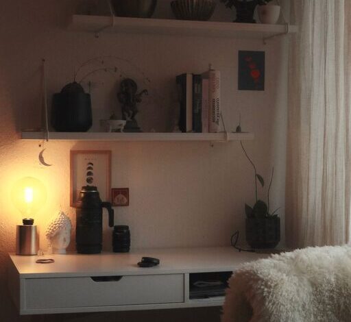 Tips for Creating a Cozy and Productive Home Office Space