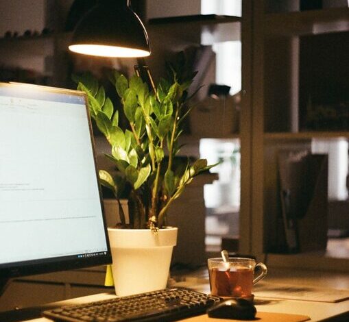 Tips for Creating a Cozy and Functional Home Office Space